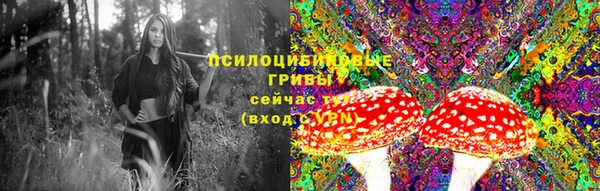 2c-b Алзамай