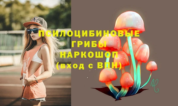 2c-b Алзамай