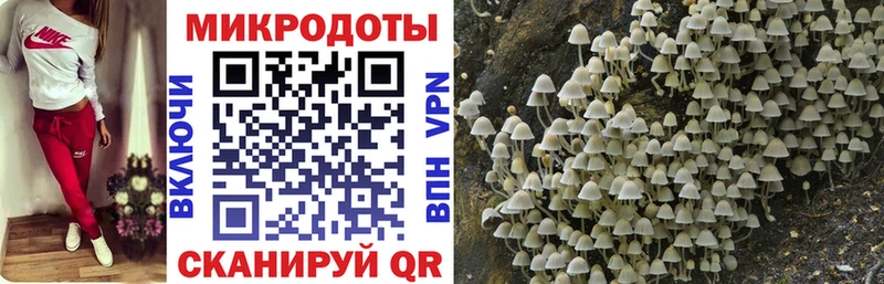 магазин Копейск Галлюциногенные грибы Psilocybine cubensis